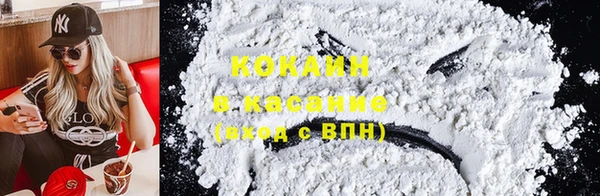 прущие грибы Краснослободск
