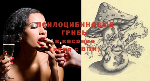 PSILOCYBIN Красноперекопск