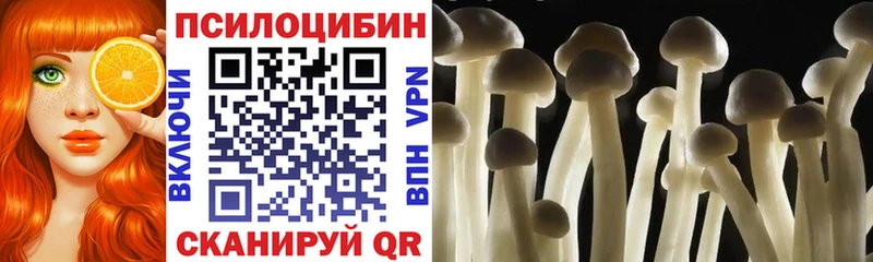 Галлюциногенные грибы MAGIC MUSHROOMS  МЕГА ссылки  Кубинка 