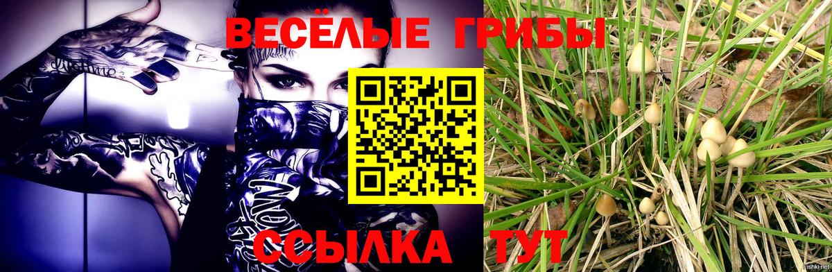 Кубинка  Галлюциногенные грибы Magic Shrooms  Вход с VPN 